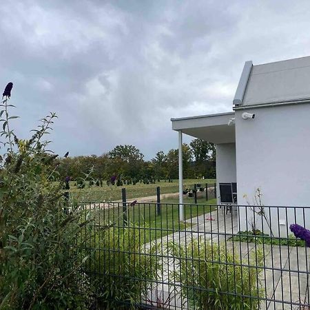 Wohnung Mit Garten Naehe Legoland Leipheim Esterno foto